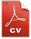 Descarga mi curriculum en PDF